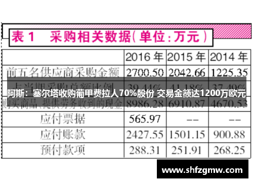 阿斯：塞尔塔收购葡甲费拉人70%股份 交易金额达1200万欧元